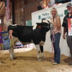 Grand Champion Dairy Feeder