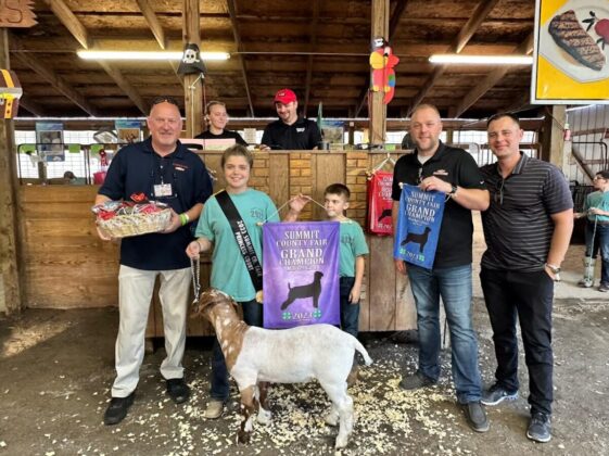 Grand Champion Goat