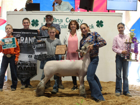 Grand Champion Lamb
