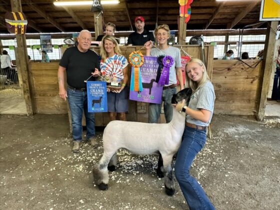 Grand Champion Lamb