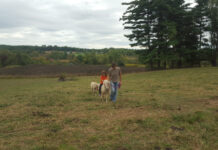 Not quite a farm kid grandmas farm