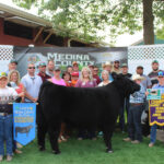 Grand Champion Steer