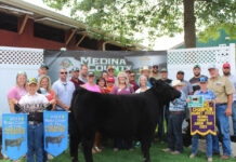 2023 Medina County Fair sale Grand Champion Steer