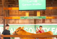 2023 Lake County Fair sale Grand Champion Beef