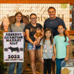 Reserve Champion Gilt