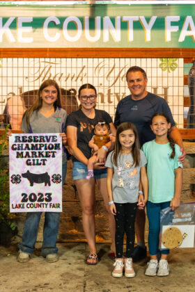 Reserve Champion Gilt