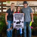 Reserve Champion Rabbit