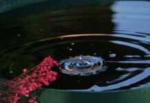 Geauga SWCD holds rain barrel auction rain barrel
