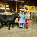 Reserve Champion Steer