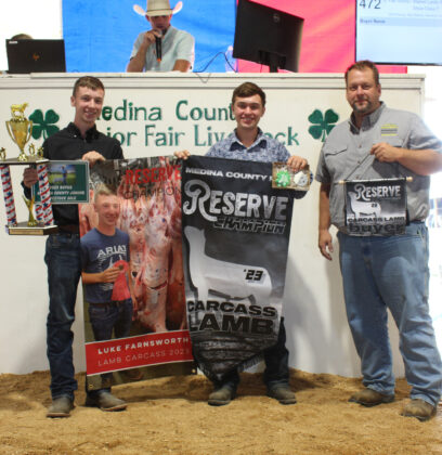 Reserve Champion Carcass Lamb