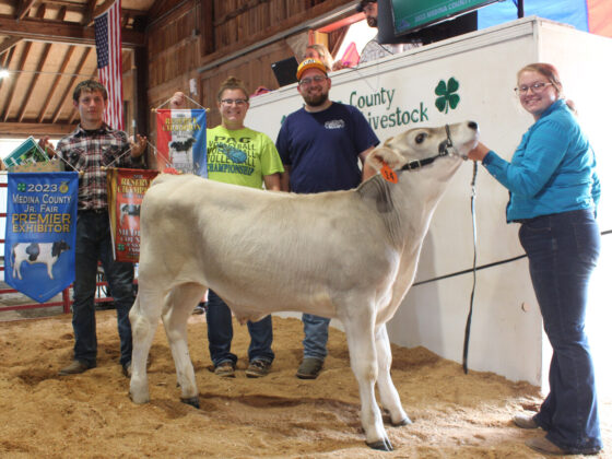 Reserve Champion Dairy Feeder