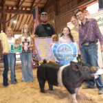 Reserve Champion Hog