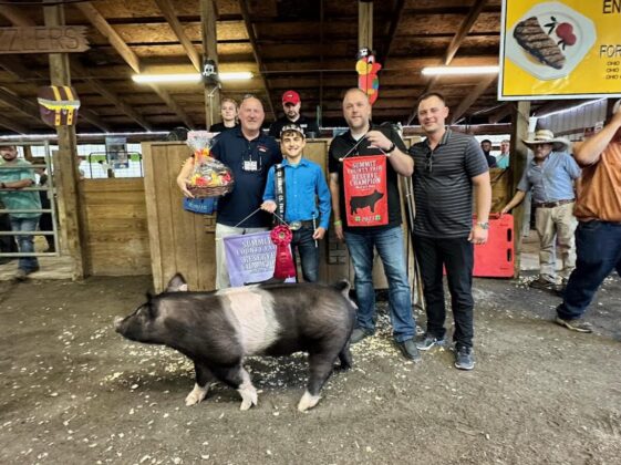 Reserve Champion Hog