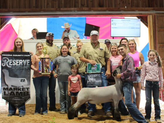 Reserve Champion Lamb