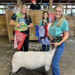 Reserve Champion Lamb