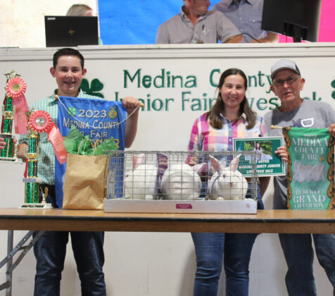 Reserve Champion Rabbits