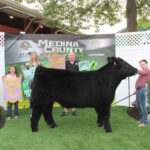 Reserve Champion Steer