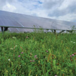 University of Pittsburgh cuts ribbon at western Pennsylvania solar farm solar farm pollinator area