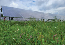 University of Pittsburgh cuts ribbon at western Pennsylvania solar farm solar farm pollinator area