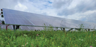 University of Pittsburgh cuts ribbon at western Pennsylvania solar farm solar farm pollinator area