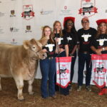 Charity steer show raises $172,000 for Ronald McDonald House charity steer