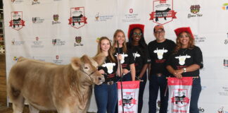 charity steer