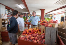 Redding visits Fayette County farm participating in state nutrition program Agriculture Secretary Russell Redding