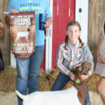 Grand Champion Market Wether