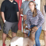 Reserve Champion Market wether