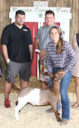 Reserve Champion Market wether