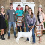 Reserve Champion Market Doe Goat