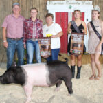 Grand Champion Market Hog