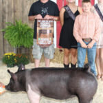 Reserve Champion Market Hog