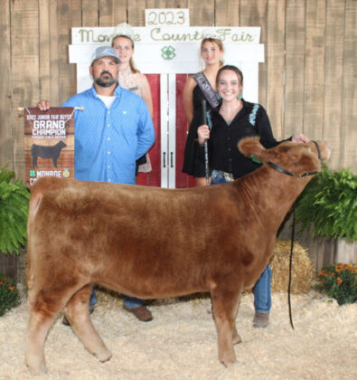 Grand Champion Feeder Calf Heifer