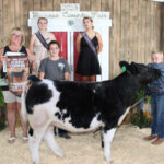 Reserve Champion Feeder Calf Heifer