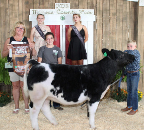 Reserve Champion Feeder Calf Heifer