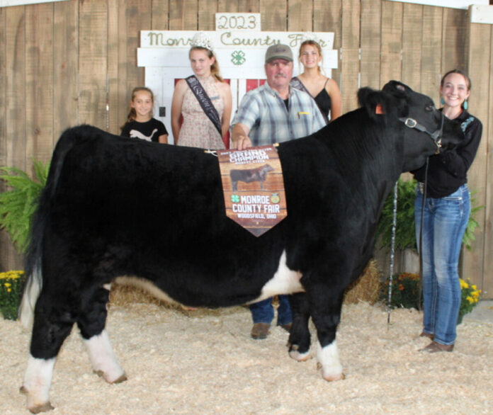 Grand Champion Market Steer