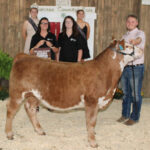 Reserve Champion Feeder Calf Steer