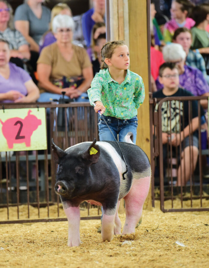 Julia Finnegan Julia Finnegan