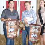 Grand Champion Market Rabbit