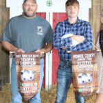 Reserve Champion Market Rabbit