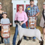Grand Champion Market Lamb