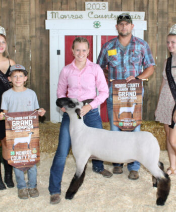 Grand Champion Market Lamb