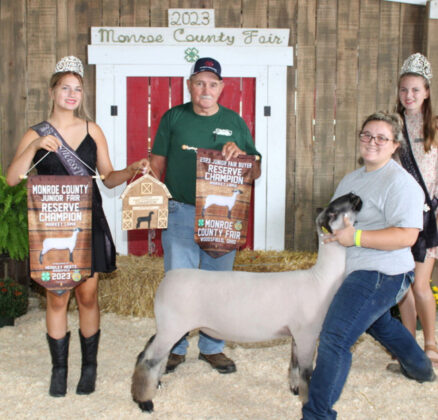 Reserve Champion Market Lamb