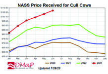 How to decide when to cull cows dairy excel chart