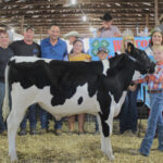 Grand Champion Dairy Beef Feeder