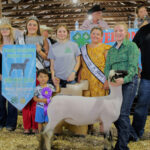 Grand Champion Lamb