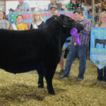 Grand Champion Market Beef
