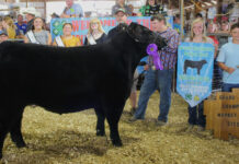 2023 Noble County Fair sale Grand Champion Market Beef