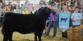 2023 Noble County Fair sale Grand Champion Market Beef